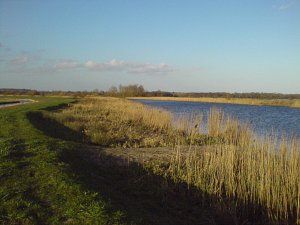 2018 River Yare Open Match Fixtures